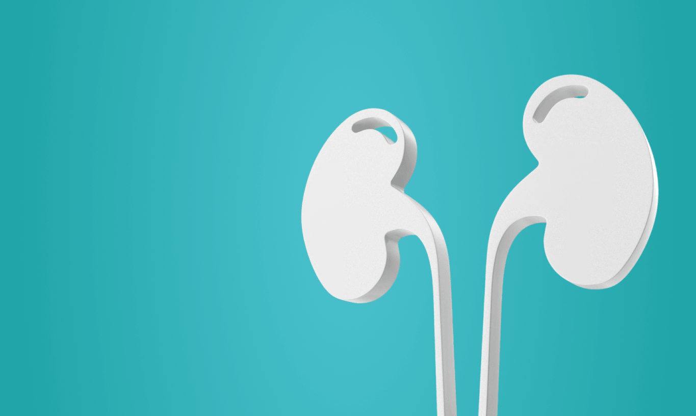 27 марта — Международный день нефролога